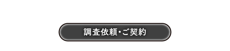 探偵の解決まで